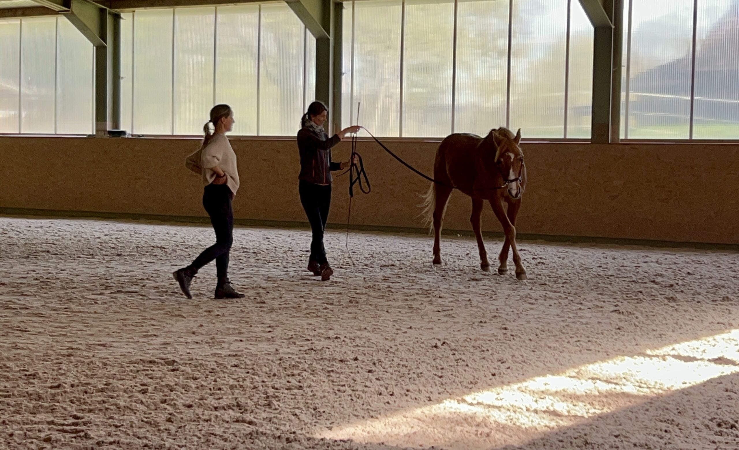 Leçon avec Anja Hass, instructrice de l’école de Bent Branderup « The Academic Art of Riding » – Cours 2